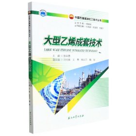 大型乙烯成套技术/中国石油炼油化工技术丛书