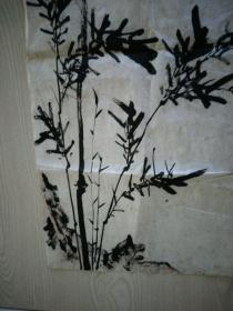 佚名老画《墨竹》，笔墨老练，寓意深长...