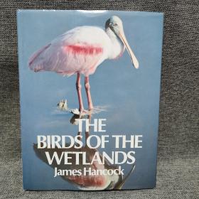 the  birds  of  the  wetlands