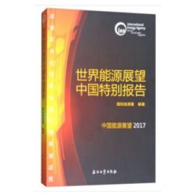 【正版书籍】世界能源展望中国特别报告