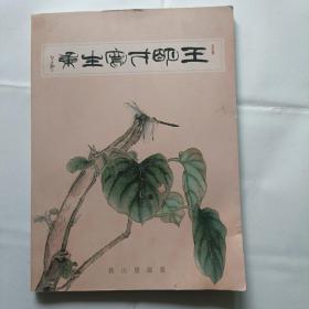 最忆是杭州，王明才写生   花鸟，山水，人物