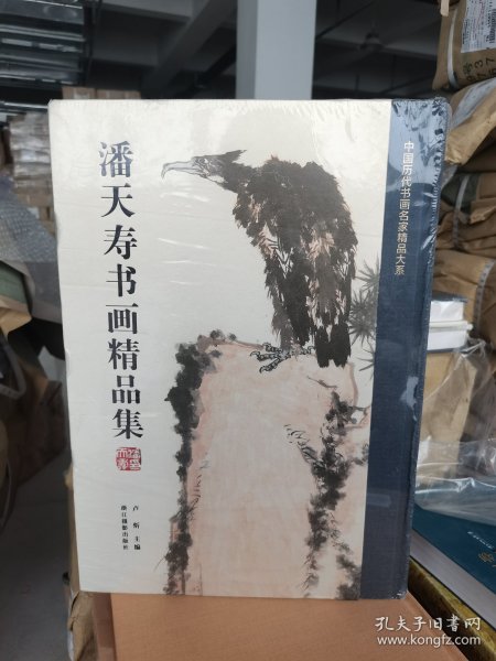 潘天寿书画精品集/中国历代书画名家精品大系