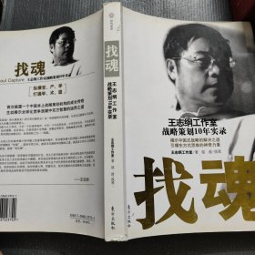 找魂：王志纲工作室战略策划10年实录