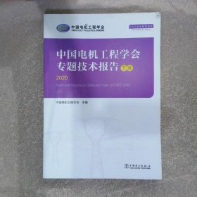 中国电机工程学会专题技术报告2020（下卷）