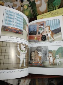 西西家族成长日记·我会保护我自己（套装4册）给孩子的安全教育 自我保护意识绘本 睡前亲子读物 和孙俪一起守护宝贝的童年