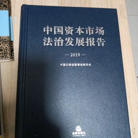 中国资本市场法治发展报告（2019）