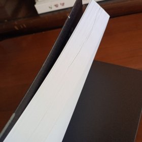 《消弭冲突：解决边疆地区群体性事件的法律机制》【正版现货，品如图】