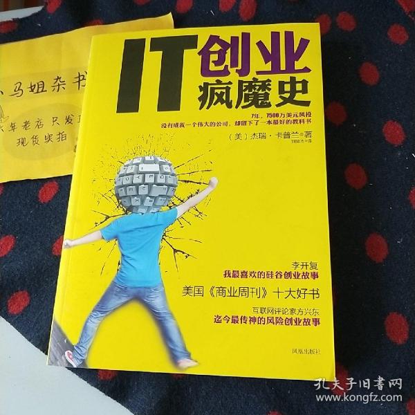 IT创业疯魔史