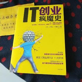 IT创业疯魔史