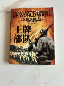 全景二战系列 王牌部队+二战之谜（彩图版）两本合售