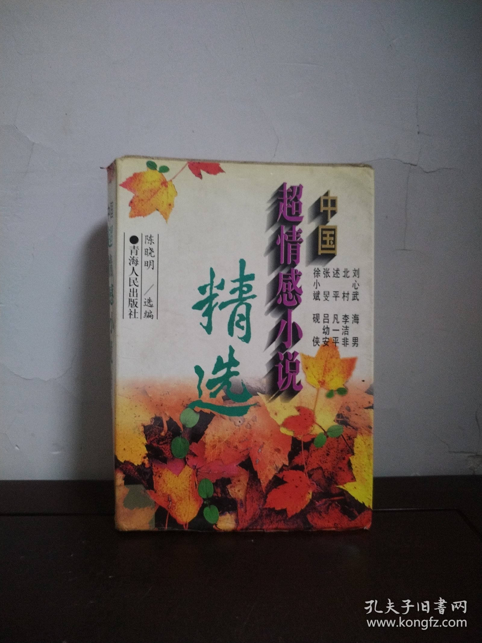 中国超情感小说精选