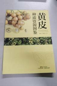 黄皮种质资源图鉴/中国植物种质资源丛书
