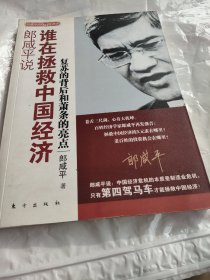 郎咸平说：谁在拯救中国经济：复苏的背后和萧条的亮点