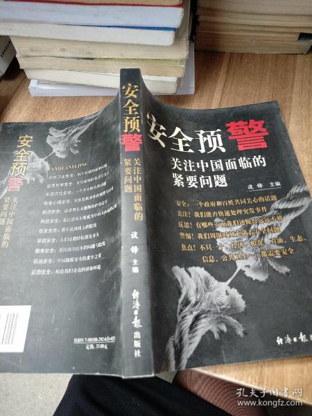 安全预警：关注中国面临的紧要问题