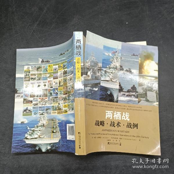 两栖战：战略·战术·战例