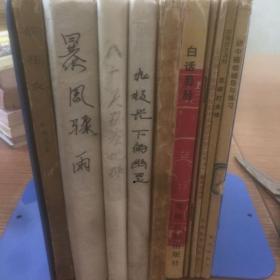 老书10本底价合售（已经封装，恕不拆卖）：
暴风骤雨，茶花女，八十天环游地球，边境线上的警铃，白话易经，包拯，初中英语，怎样打垒球，初中植物辅导与练习，北极光下的幽灵