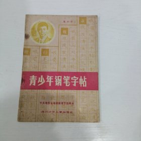 青少年钢笔字帖