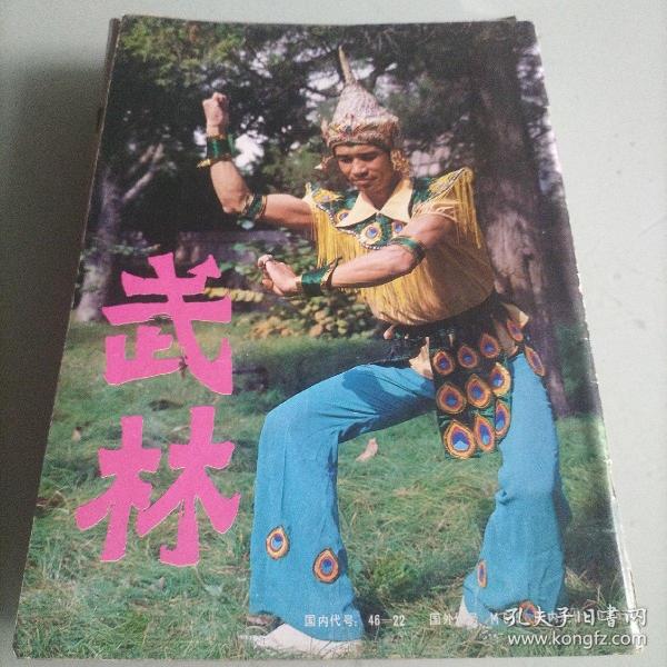 武林杂志，太极名家，道家，养生，程咬金，武艺，学拳，武术动作，内家拳法，峨眉拳，技击，拳击，散手技击，陈氏太极拳，武星，刀枪剑棍，流星锤，梅花鞭，阴把枪技法，丹田内转功法，内功，太极拳，气功，中国功夫，形意拳，鹰爪翻子拳，三皇炮捶，武术伤科，治疗，跌打损伤，习武。王子平，江湖，武术运动员，体委，中医院，健身协会，