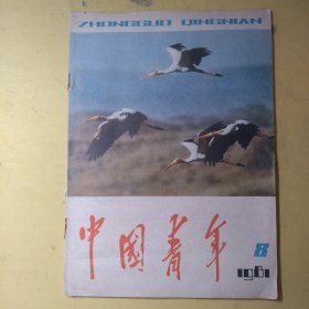 中国青年1981年第8期