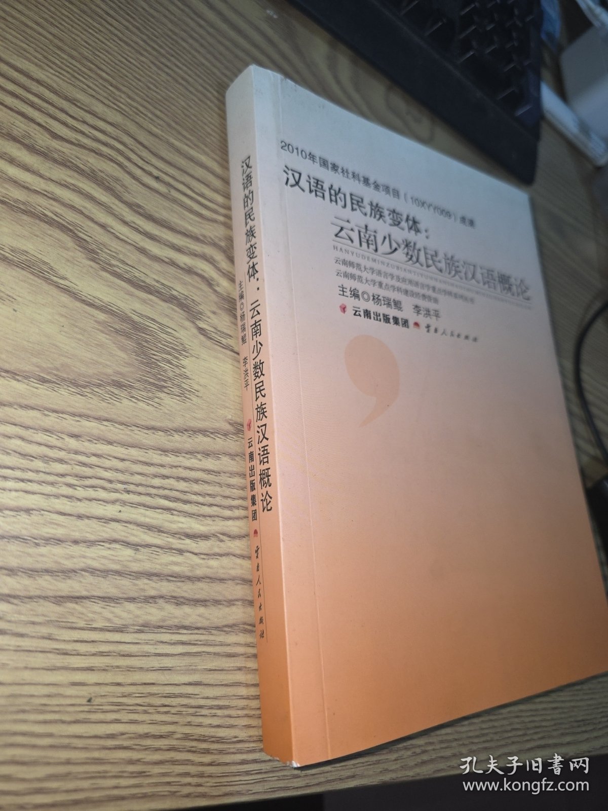 汉语的民族变体：云南少数民族汉语概论