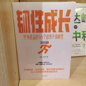 韧性成长：终身进益的16个心智升级模型文娅仲佳伟著