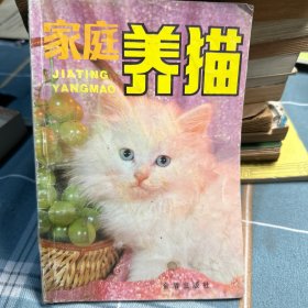 家庭养猫