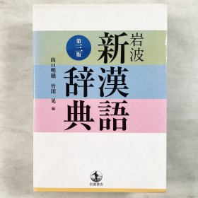 岩波新漢語辞典 第三版 漢和辞典 岩波书店 日文原版 第3版
