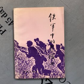 铁军中的华侨兵（文集）