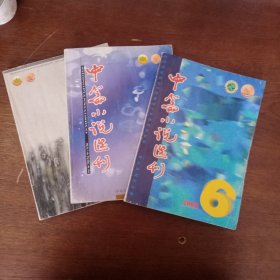 中篇小说选刊。2002年6 2003年6 2004年6（3本）