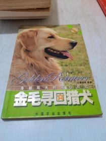 金毛寻回猎犬