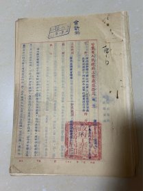 1953年甘肃省盐务局报告，毛笔书写寥子岗冉多年等典型材料