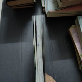 梦想之翼——我的哈利波特