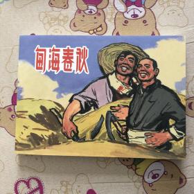 甸海春秋32开平装连环画（筑梦小康路散本）