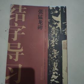 中国历代碑帖技法导学集成·结字导习（6）：张猛龙碑