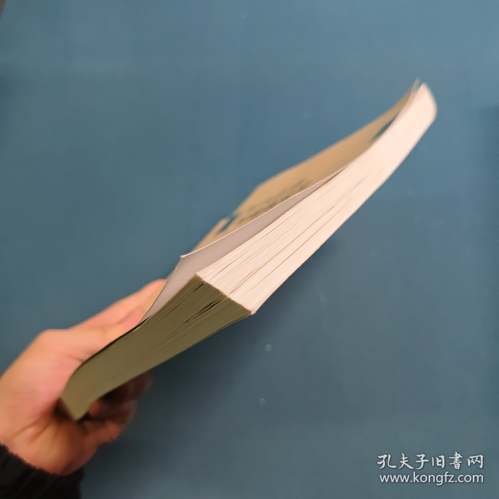 车内环境与健康安全