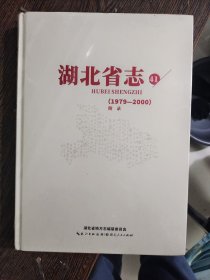 （湖北省志41 1979-2000：附录【全新塑封】 ，编号1628