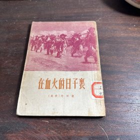 在血火的日子里