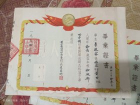 1954年莆田洞湖小学初小毕业证书