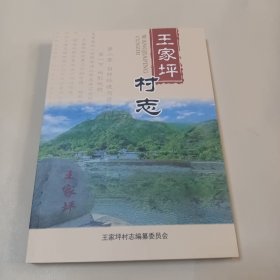 王家坪村志 河北省赞皇