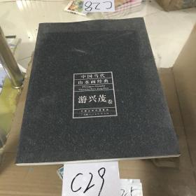 中国当代山水画经典：游兴茂卷