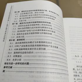 高技术企业技术创新网络-基于技术标准化的研究