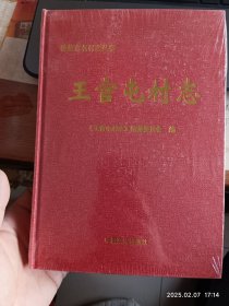 德州市名村志丛书 王官屯村志