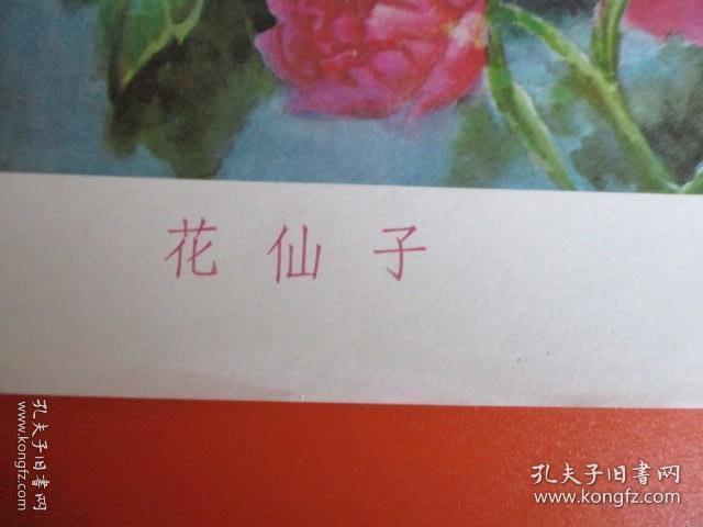 1994年2开宣传画《花仙子》【刘树茂.张永伟作】【品相特别好】【保老保真】