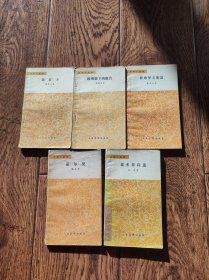 嘉尔曼+裴多菲诗选+杜布罗夫斯基+绞刑架下的报告+伪君子（五本合售）