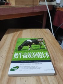 奶牛高效养殖技术