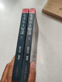毛泽东大智谋（上下）
