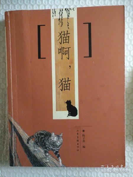 猫啊，猫