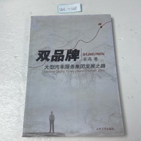 双品牌：大型汽车服务集团发展之路