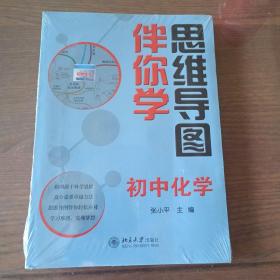 思维导图伴你学——初中化学（全新塑封未拆）