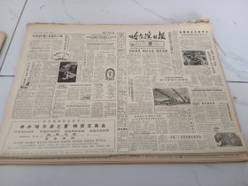 哈尔滨日报1984年7月19日香坊区幸福乡曹家村见闻